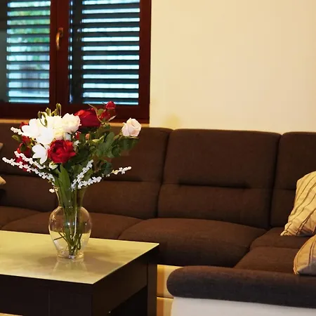 Jokic With Jacuzzi & Seasonal Heated Pool Villa Posusje